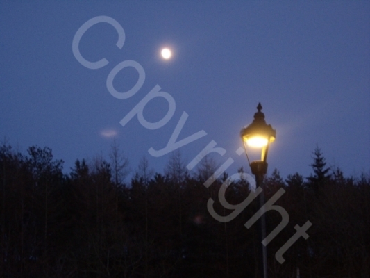 Product picture My Narnia